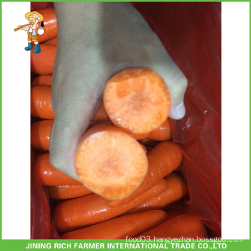 2015 Chinese Fresh Carrots For Southeast Asia